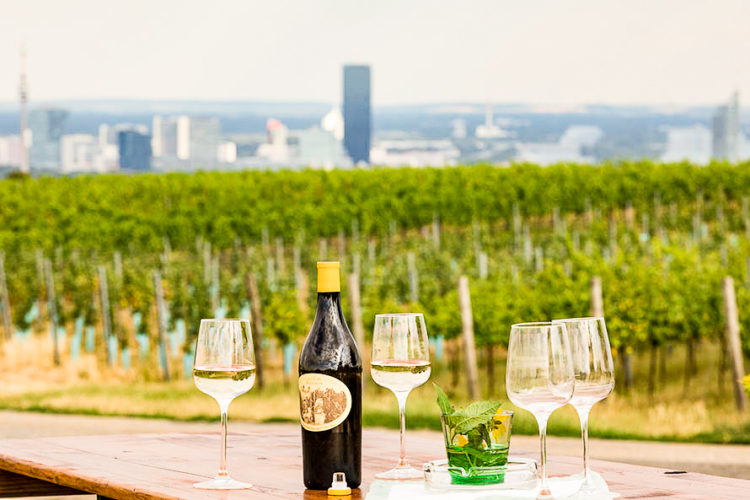 die-buschenschank Foto: Fritz Wieninger serviert seine ausgezeichneten Weine und kalte Speisen © Weingut Wieninger