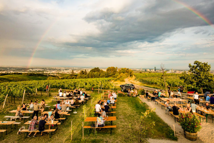 slider-1-compressed Foto: Die „Meeresterrasse“ liegt mitten im Weinfeld und bietet einen sensationellen Ausblick auf die Stadt © Weingut Wieninger