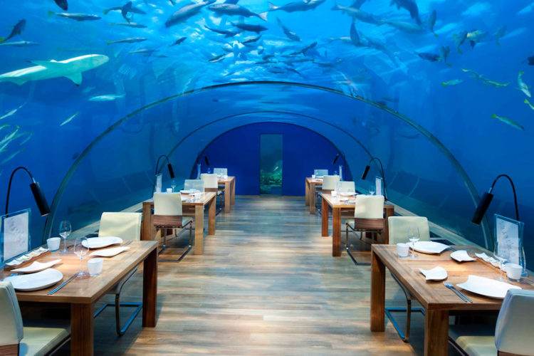 underwater-restaurant-maldives-conrad underwater-restaurant-maldives-conrad
